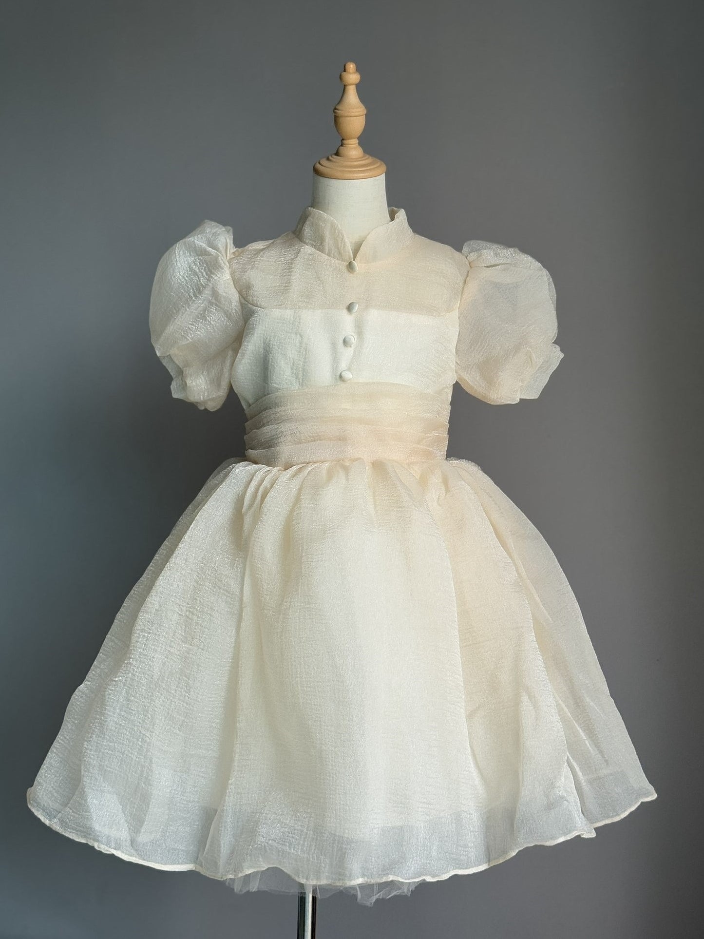 Girls Champagne Cheongsam Tulle Dress