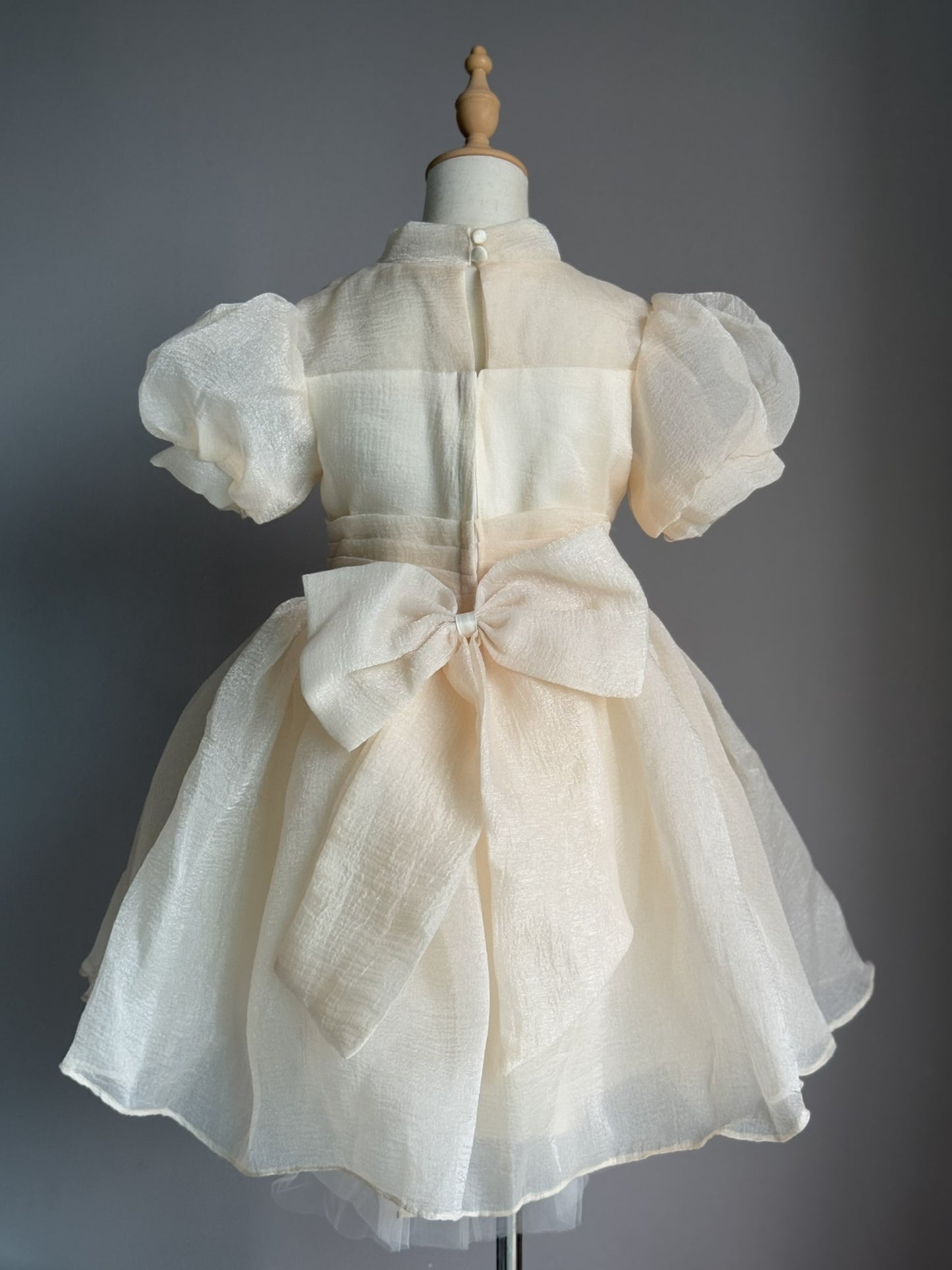 Girls Champagne Cheongsam Tulle Dress