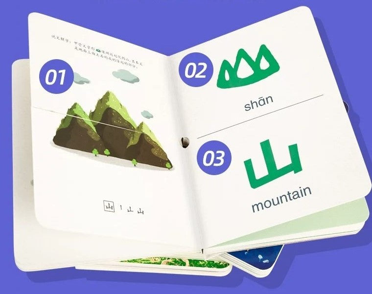 Pictogram-based Literacy Learning Lift-the-Flap Book