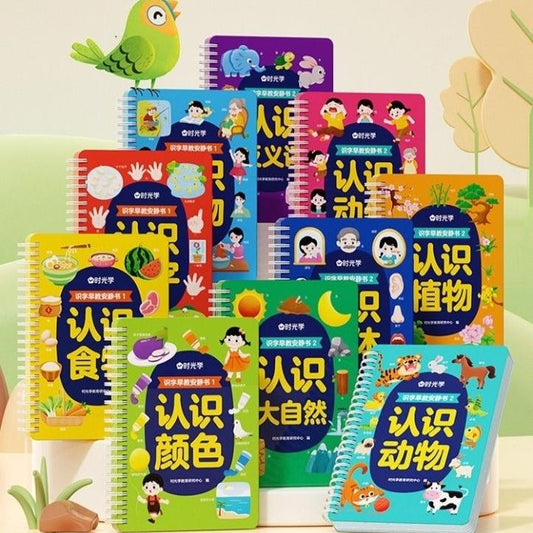 First Chinese Characters Early-Learning Quiet Books
