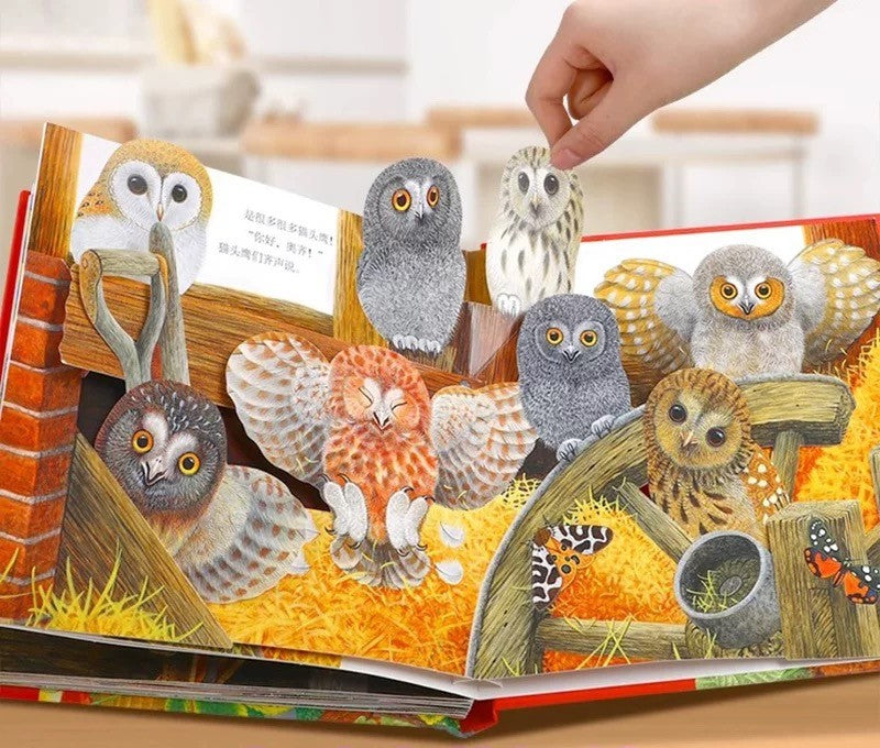 Animal Friends Magical Pop-Up Books Gift Box