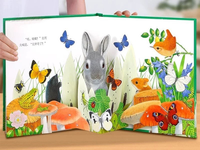 Animal Friends Magical Pop-Up Books Gift Box